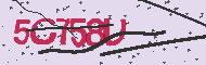 Captcha認証コード
